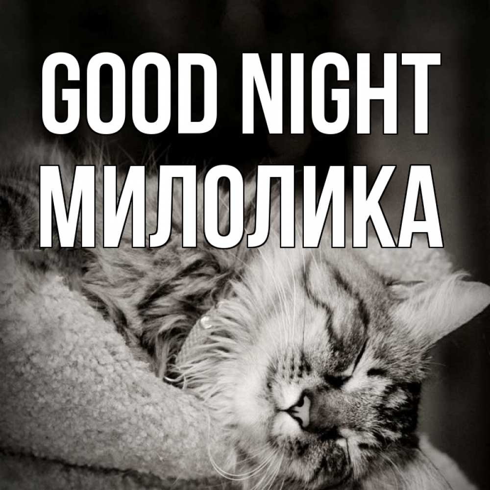 Greetings card с именем, Милолика Good night котярик пушистый Greetings with text for free download 