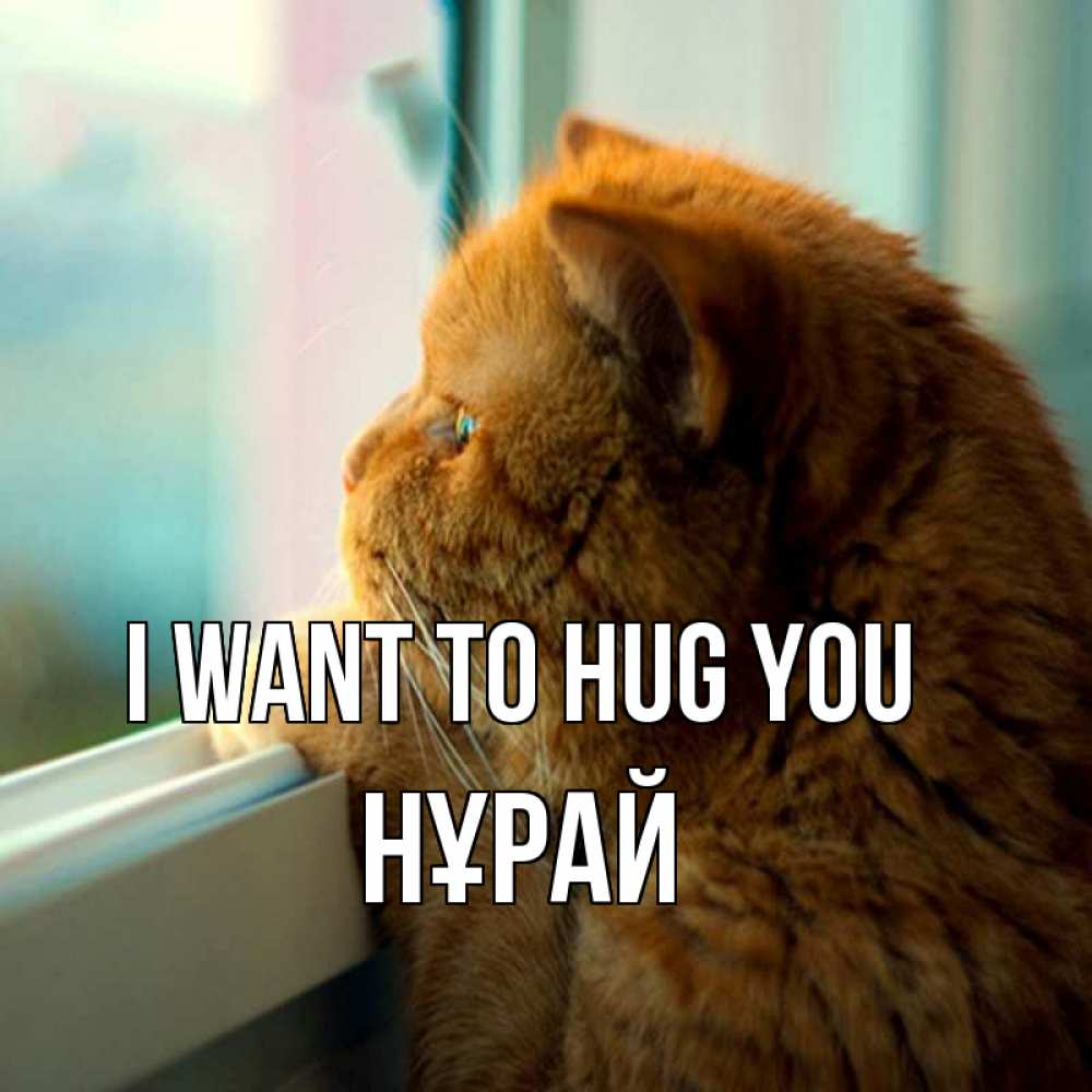 Greetings card с именем, НҰРАЙ I want to hug you большой огромный рыжий котяра Greetings with text for free download 