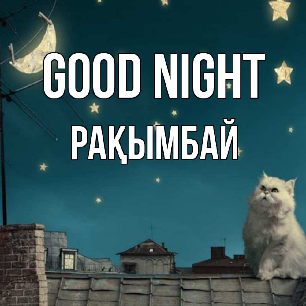 Greetings card с именем, Рақымбай Good night белый кот сидит на крыше Greetings with text for free download 