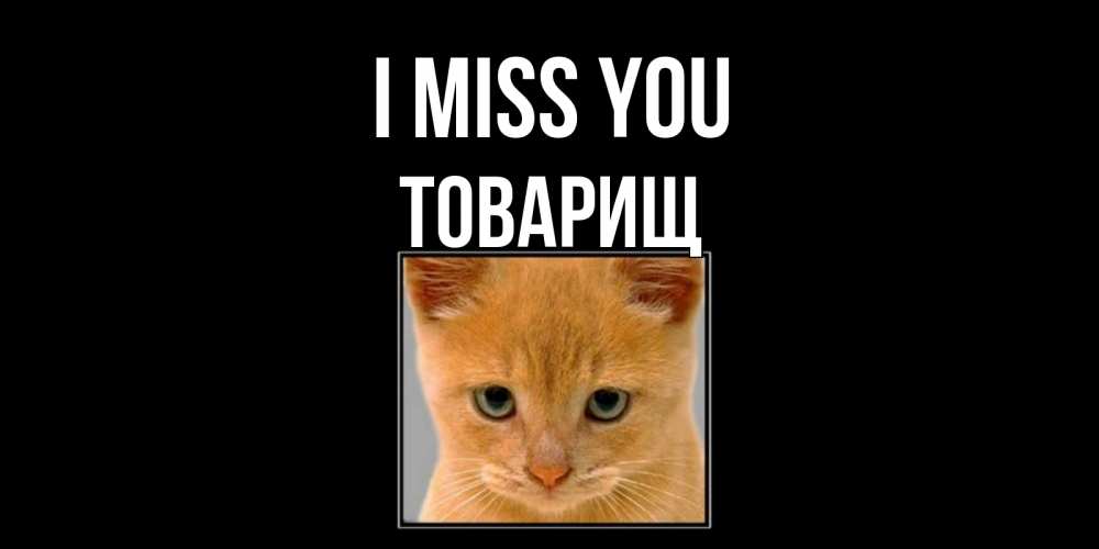 Greetings card с именем, Товарищ I miss you открытки рыжий котенок скучает по тебе Greetings with text for free download 