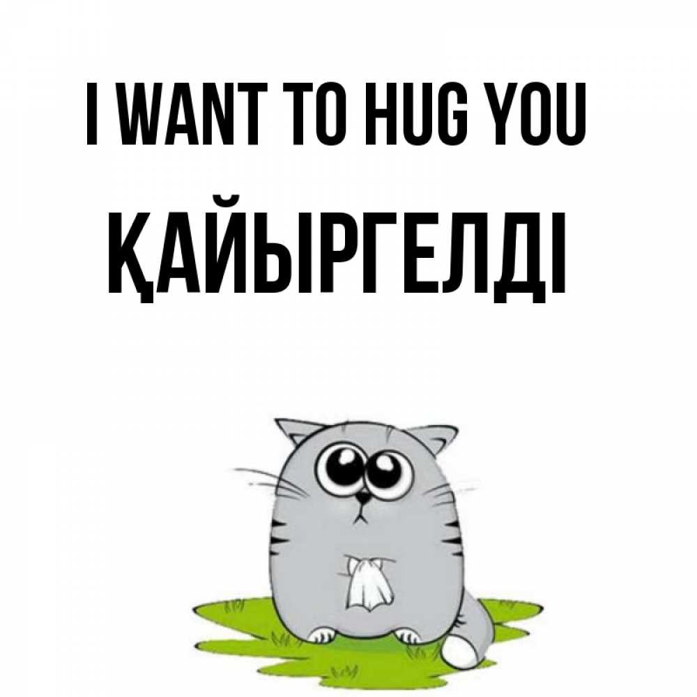Greetings card с именем, Қайыргелді I want to hug you котик теребит платочек сидя на травке Greetings with text for free download 