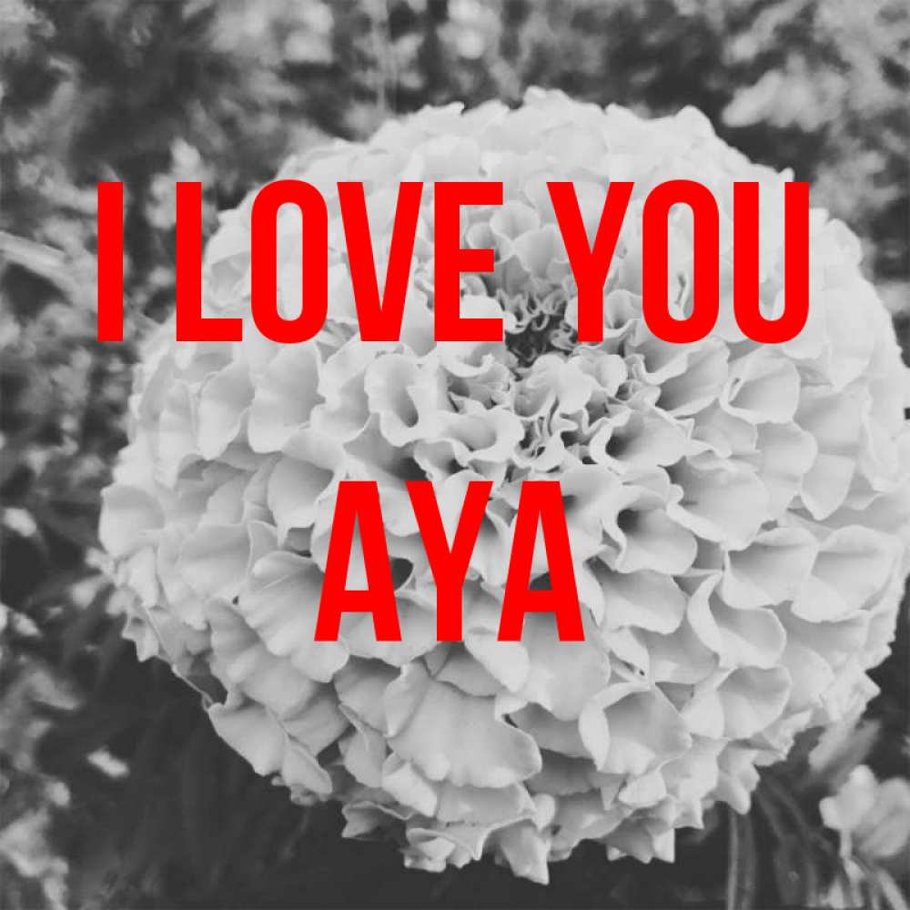 Greetings card с именем, Aya I love you подпись Greetings with text for free download 