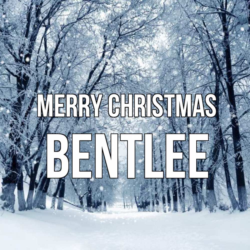 Greetings card с именем, Bentlee Merry Christmas снег, лес, парк Greetings with text for free download 