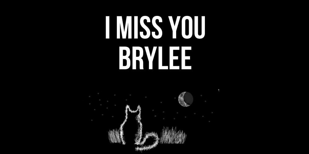 Greetings card с именем, Brylee I miss you кот Greetings with text for free download 