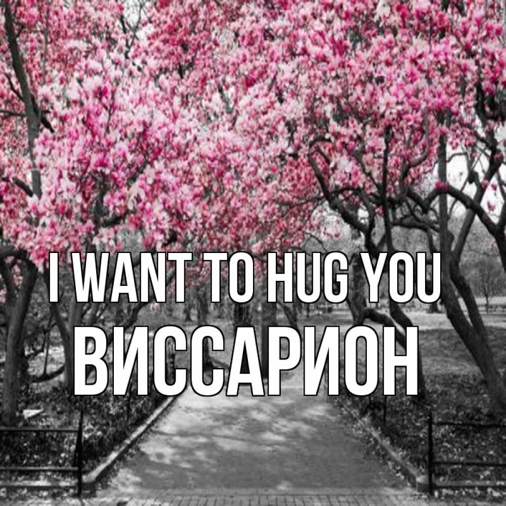 Greetings card с именем, Виссарион I want to hug you обработанное фото Greetings with text for free download 
