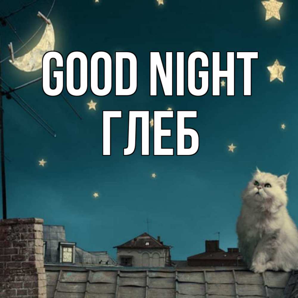 Greetings card с именем, Глеб Good night белый кот сидит на крыше Greetings with text for free download 