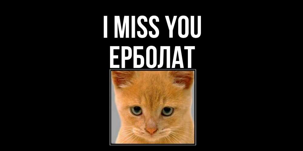 Greetings card с именем, Ерболат I miss you открытки рыжий котенок скучает по тебе Greetings with text for free download 