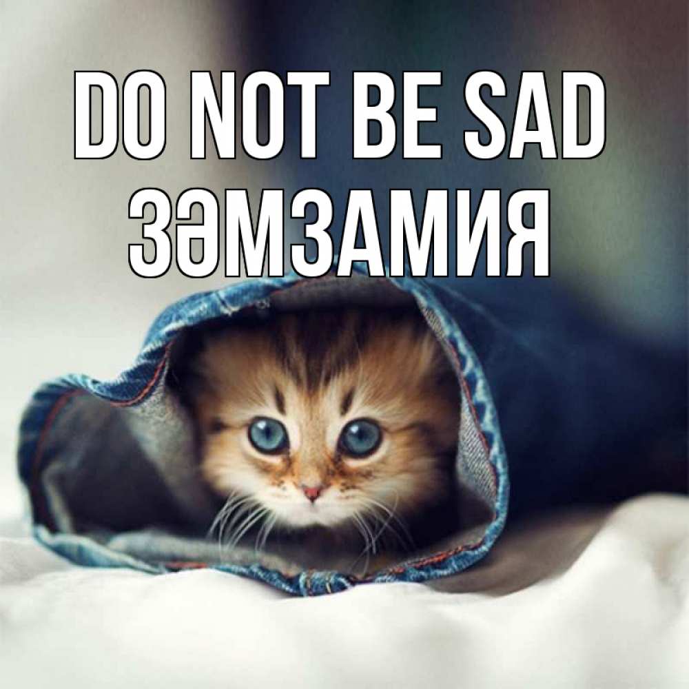 Greetings card с именем, ЗӘМЗАМИЯ Do not be sad кот в одежде Greetings with text for free download 