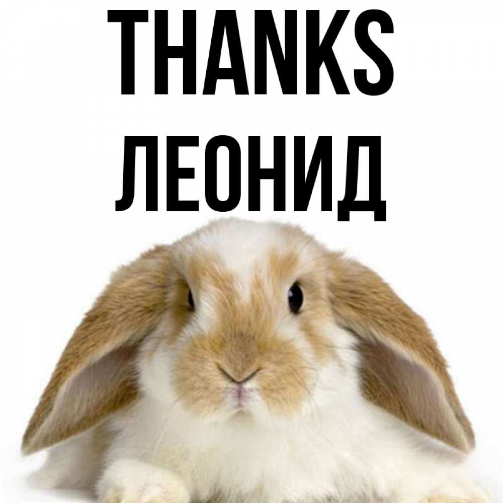 Greetings card с именем, Леонид Thanks коричнево белый заяц Greetings with text for free download 