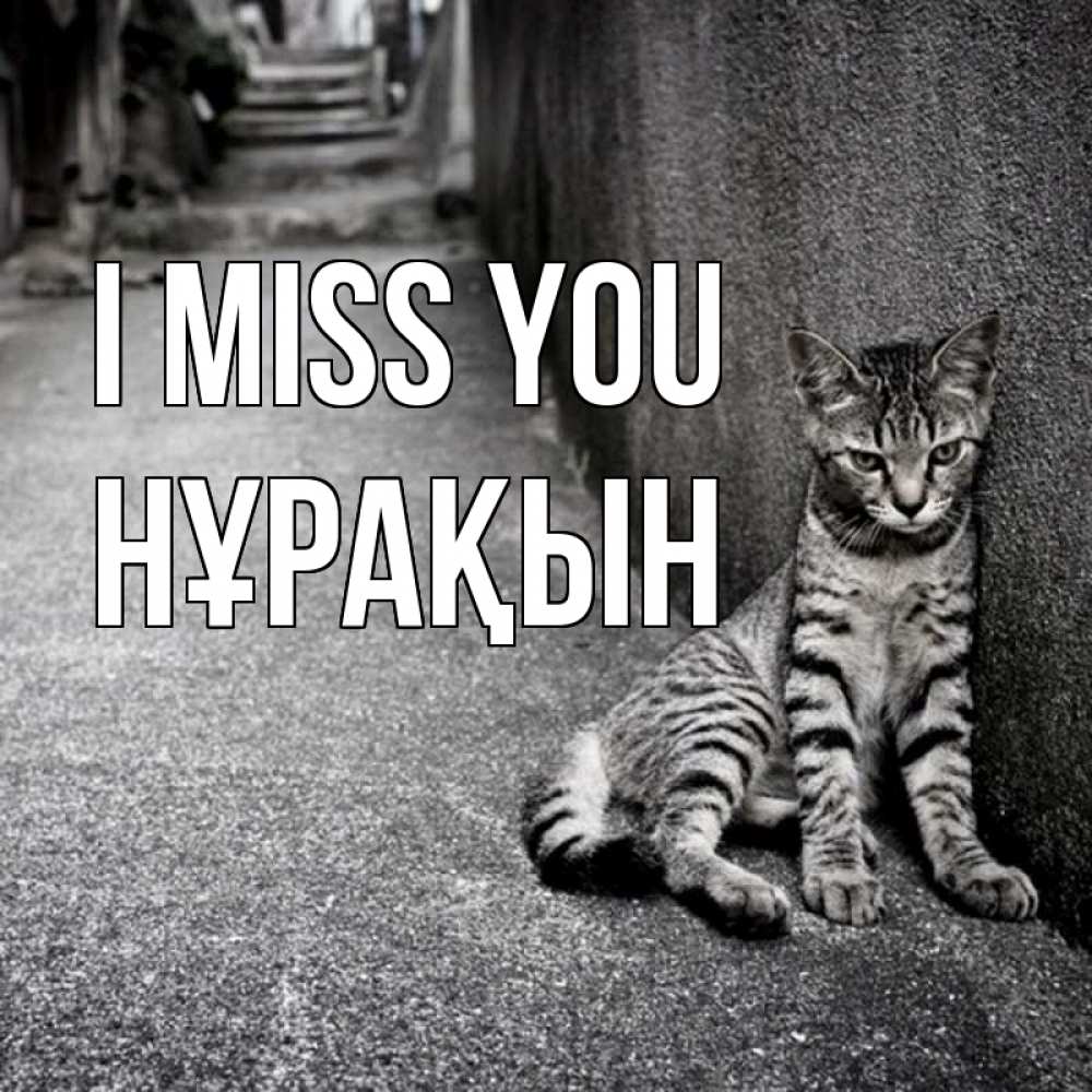 Greetings card с именем, НҰРАҚЫН I miss you одиноко котику Greetings with text for free download 