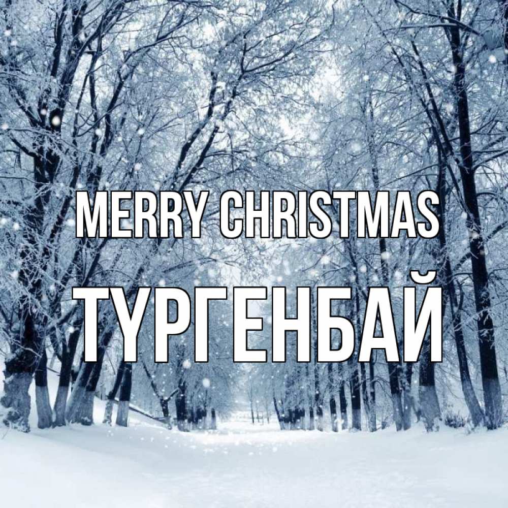 Greetings card с именем, ТҮРГЕНБАЙ Merry Christmas снег, лес, парк Greetings with text for free download 
