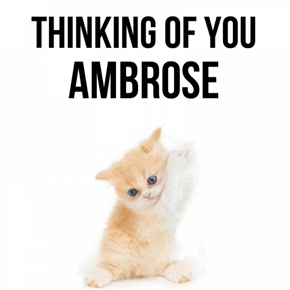 Greetings card с именем, Ambrose Thinking of you зверушки и милота Greetings with text for free download 