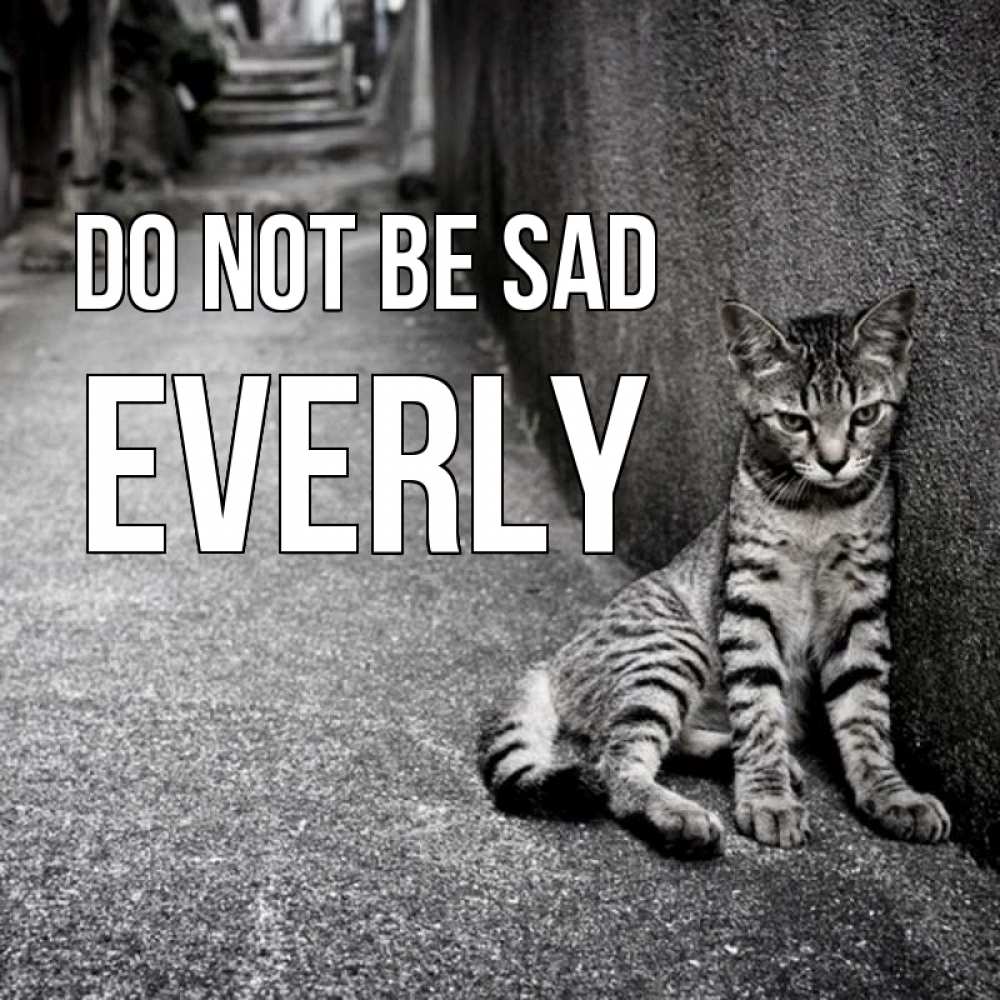 Greetings card с именем, Everly Do not be sad скучающий котик Greetings with text for free download 