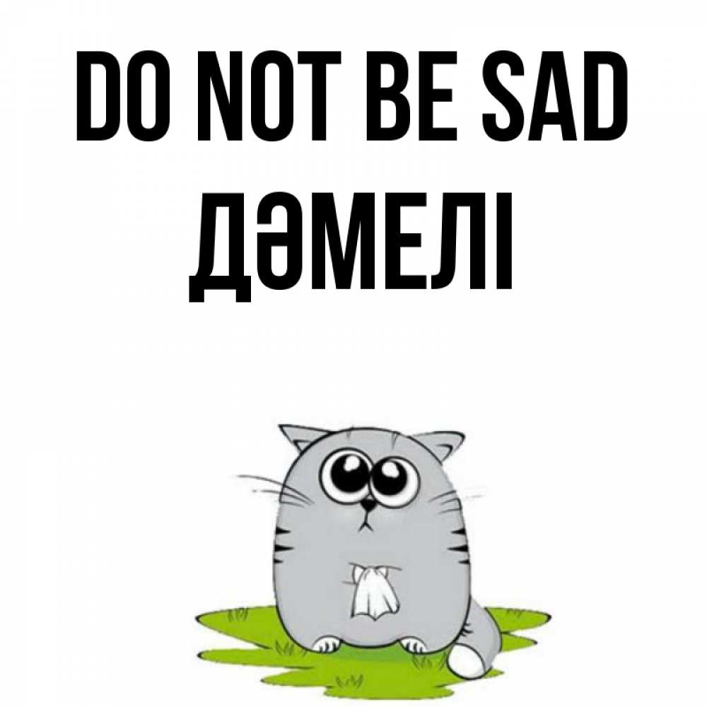 Greetings card с именем, ДӘМЕЛІ Do not be sad грустный котяра Greetings with text for free download 