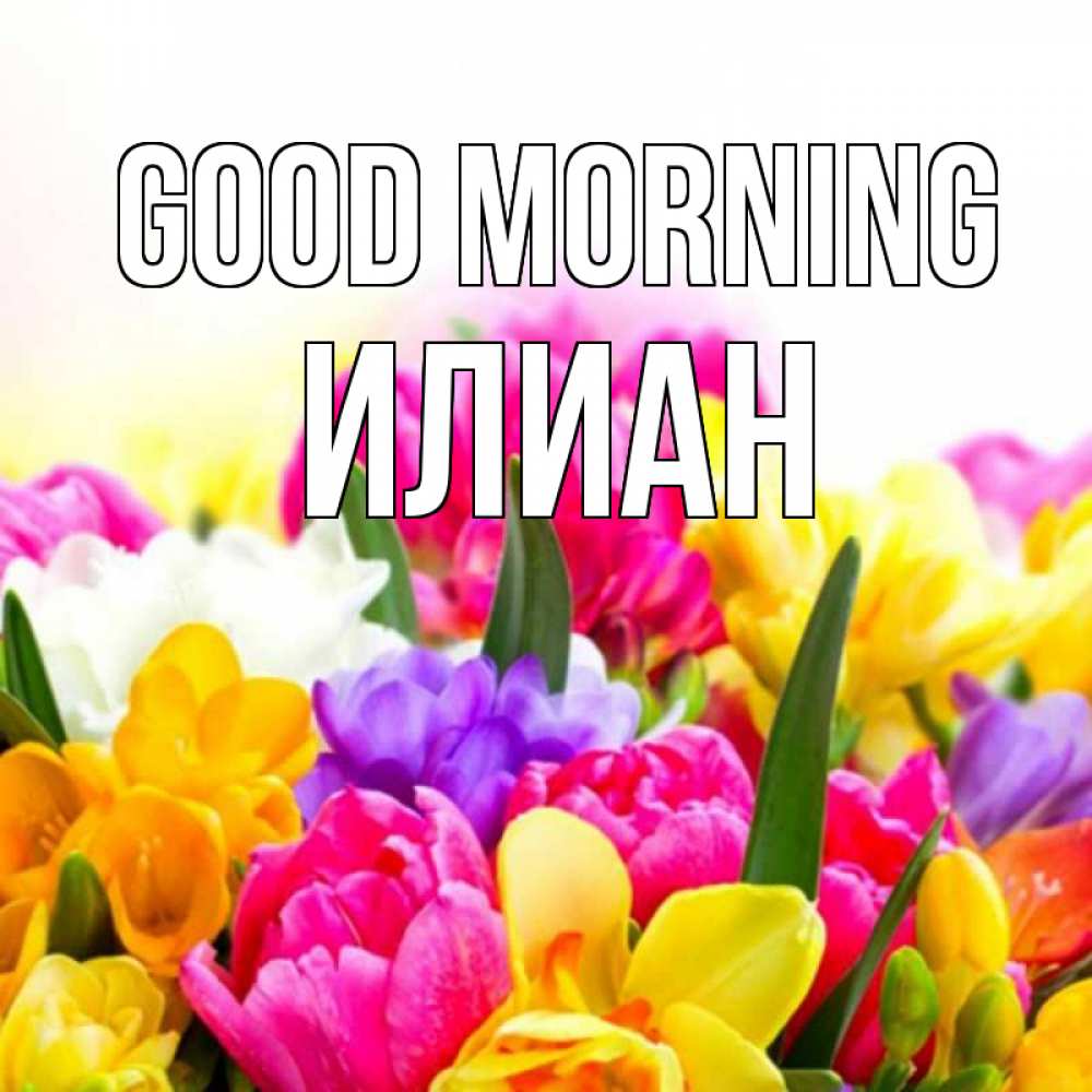 Greetings card с именем, Илиан Good morning создать открытку со свое подписью Greetings with text for free download 
