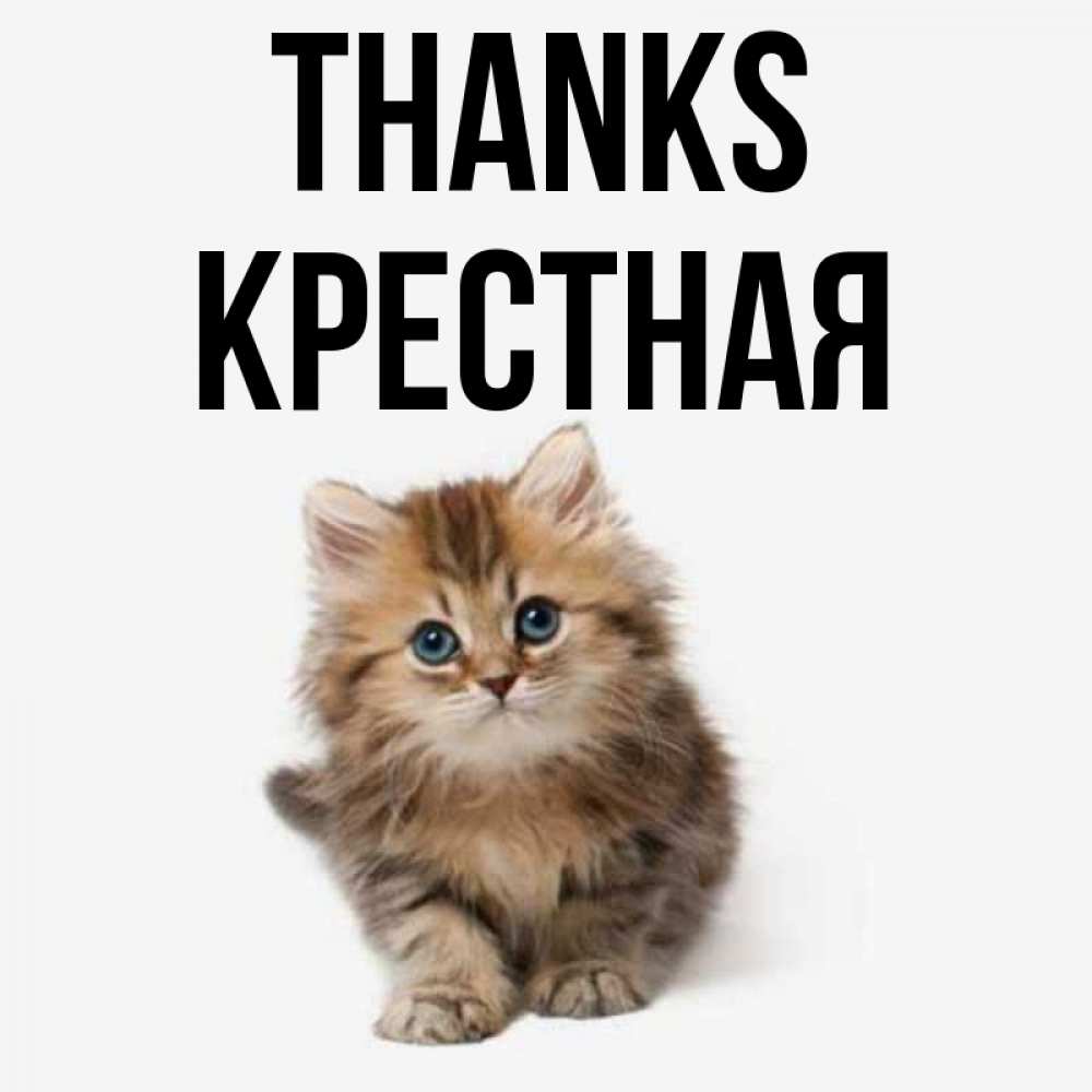 Greetings card с именем, Крестная Thanks пушистый котик Greetings with text for free download 
