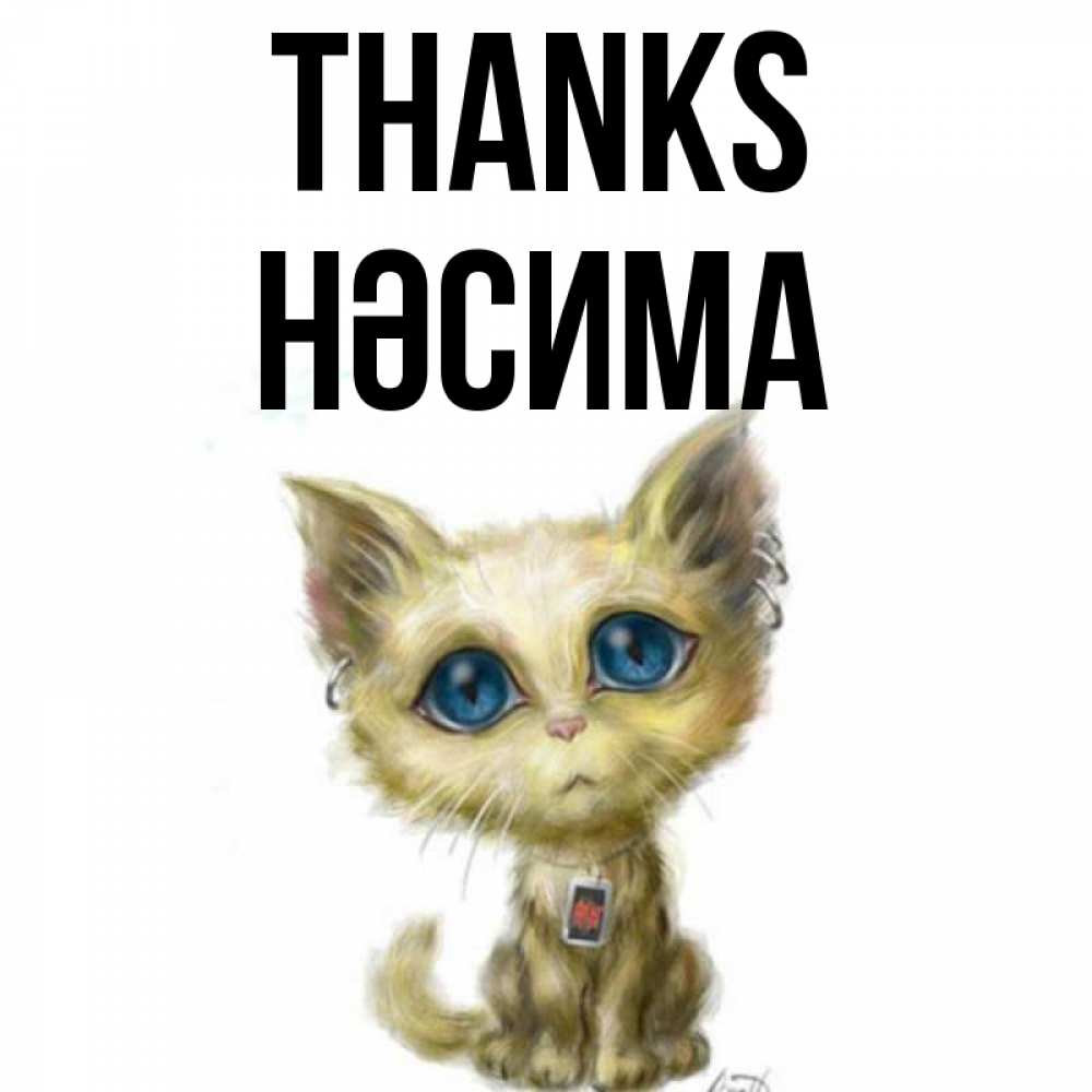 Greetings card с именем, НӘСИМА Thanks рисованный кот благодарит вас Greetings with text for free download 
