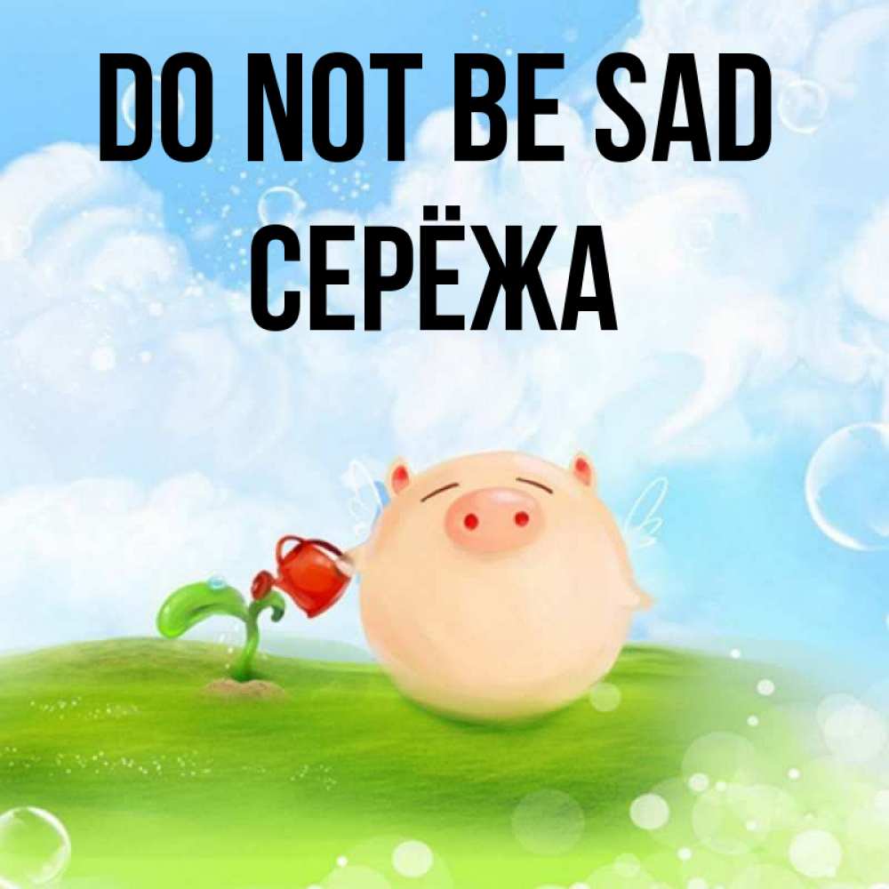 Greetings card с именем, Серёжа Do not be sad поливает цветок порося Greetings with text for free download 