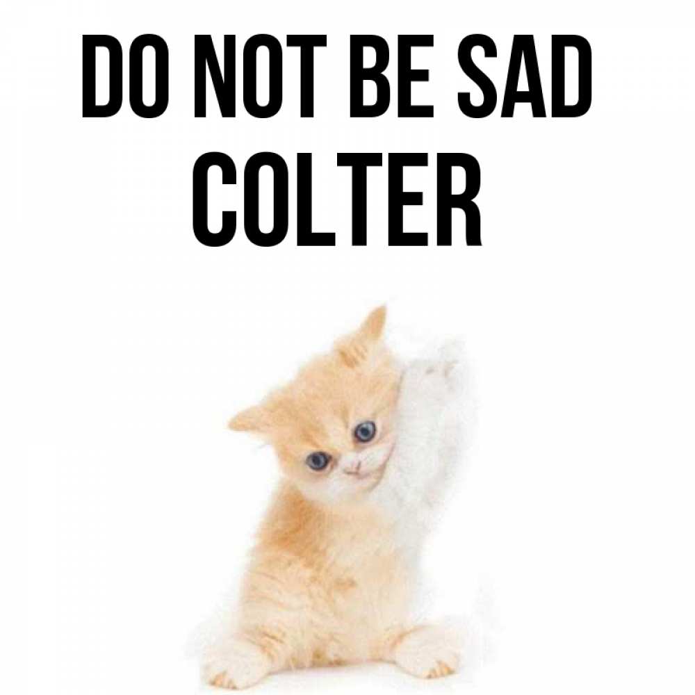 Greetings card с именем, Colter Do not be sad просящий кот Greetings with text for free download 