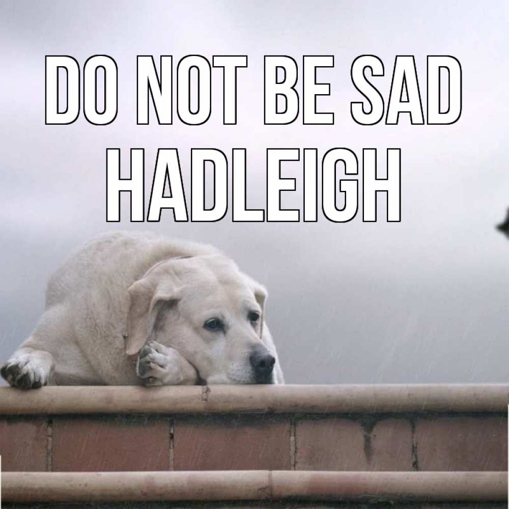 Greetings card с именем, Hadleigh Do not be sad белый пес 1 Greetings with text for free download 