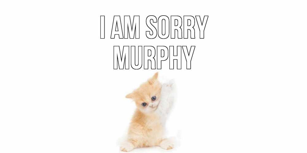 Greetings card с именем, Murphy I am sorry кот Greetings with text for free download 