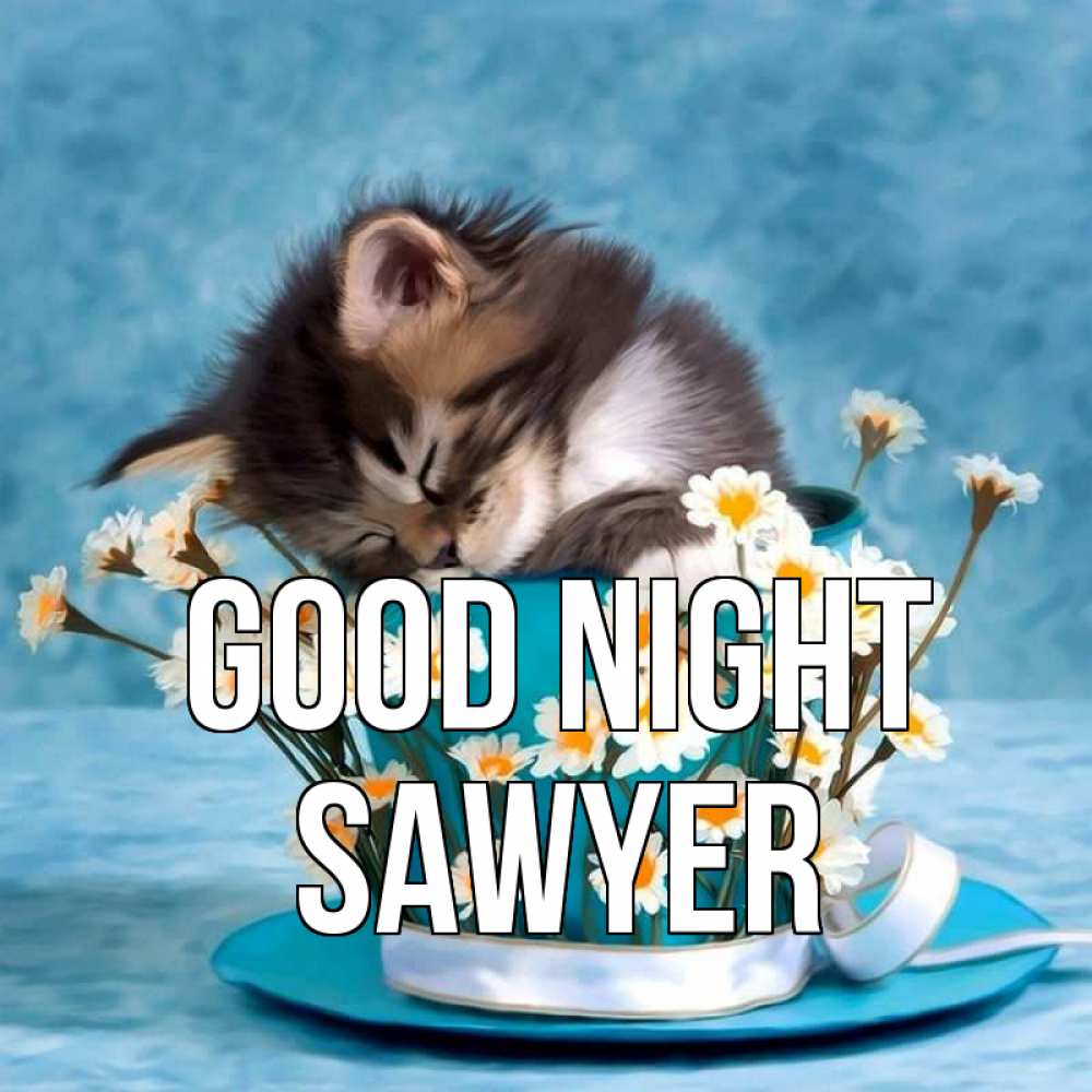 Greetings card с именем, Sawyer Good night котенок спит в кружке с блюдцем Greetings with text for free download 