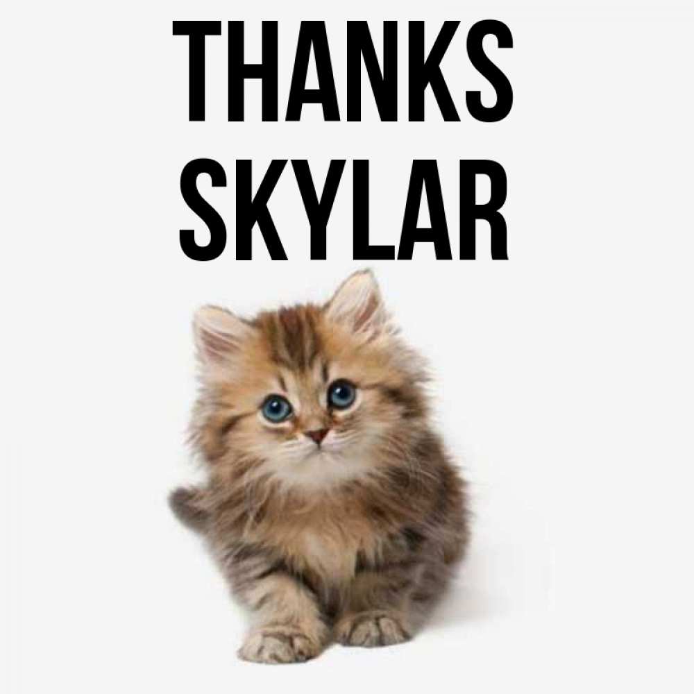 Greetings card с именем, Skylar Thanks пушистый котик Greetings with text for free download 