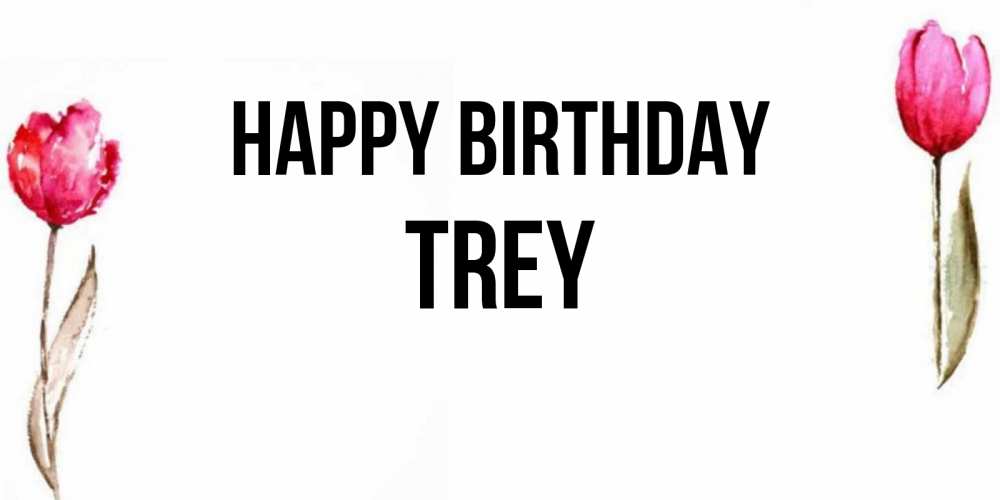 Greetings card с именем, Trey Happy Birthday открытки акварелью с цветами Greetings with text for free download 