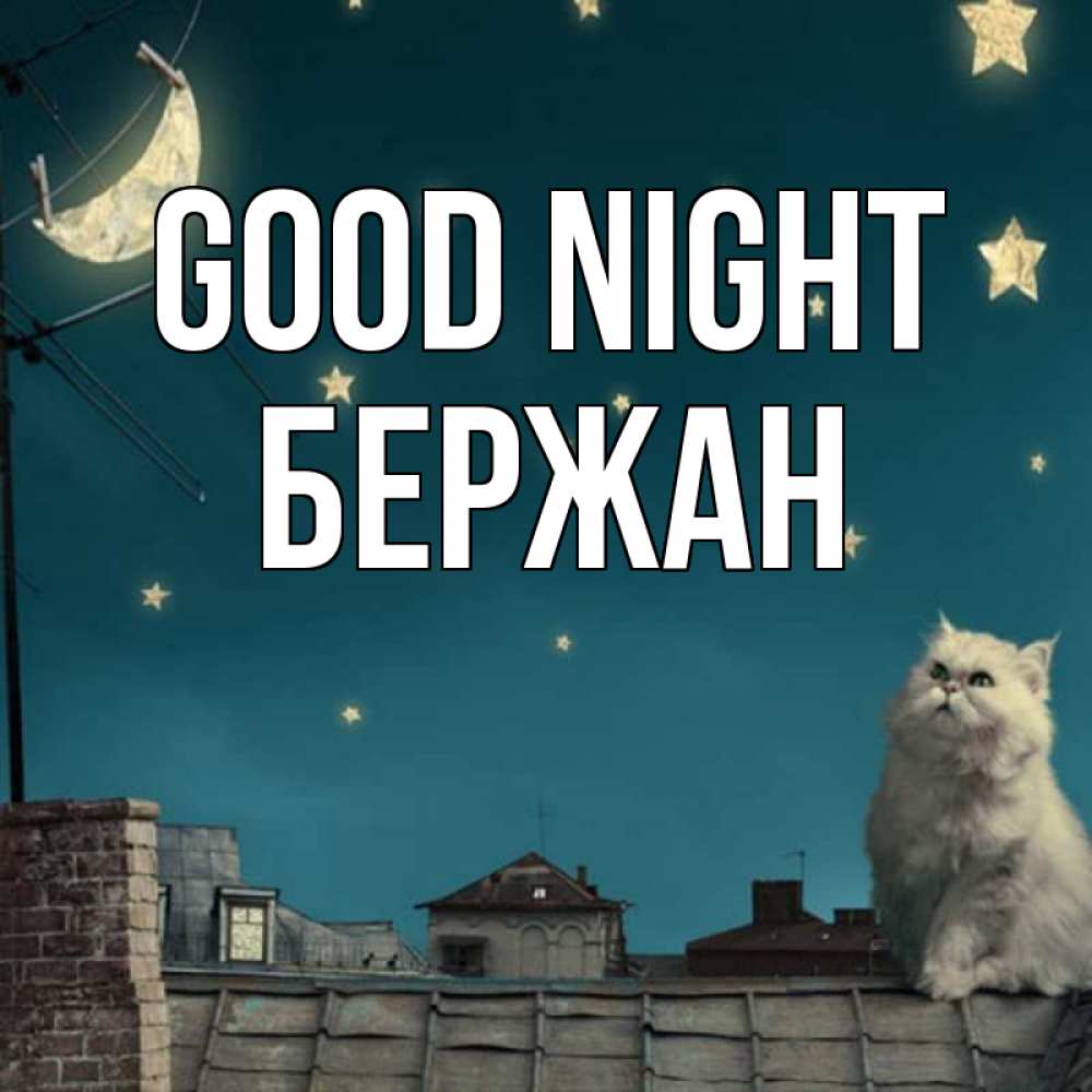 Greetings card с именем, Бержан Good night белый кот сидит на крыше Greetings with text for free download 