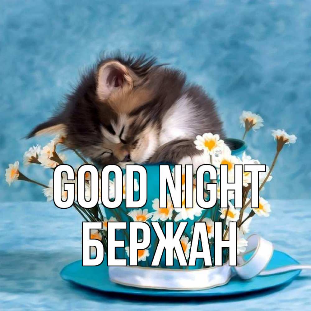 Greetings card с именем, Бержан Good night котенок спит в кружке с блюдцем Greetings with text for free download 