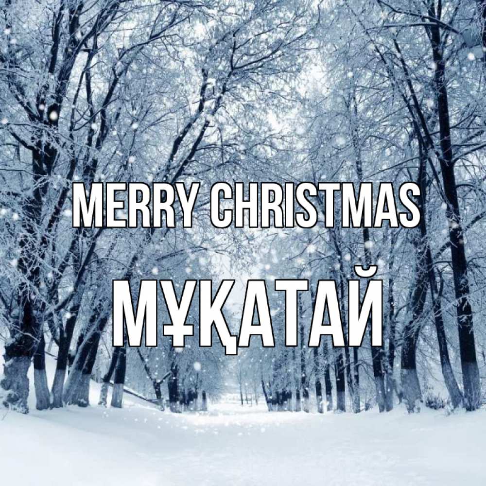 Greetings card с именем, Мұқатай Merry Christmas снег, лес, парк Greetings with text for free download 