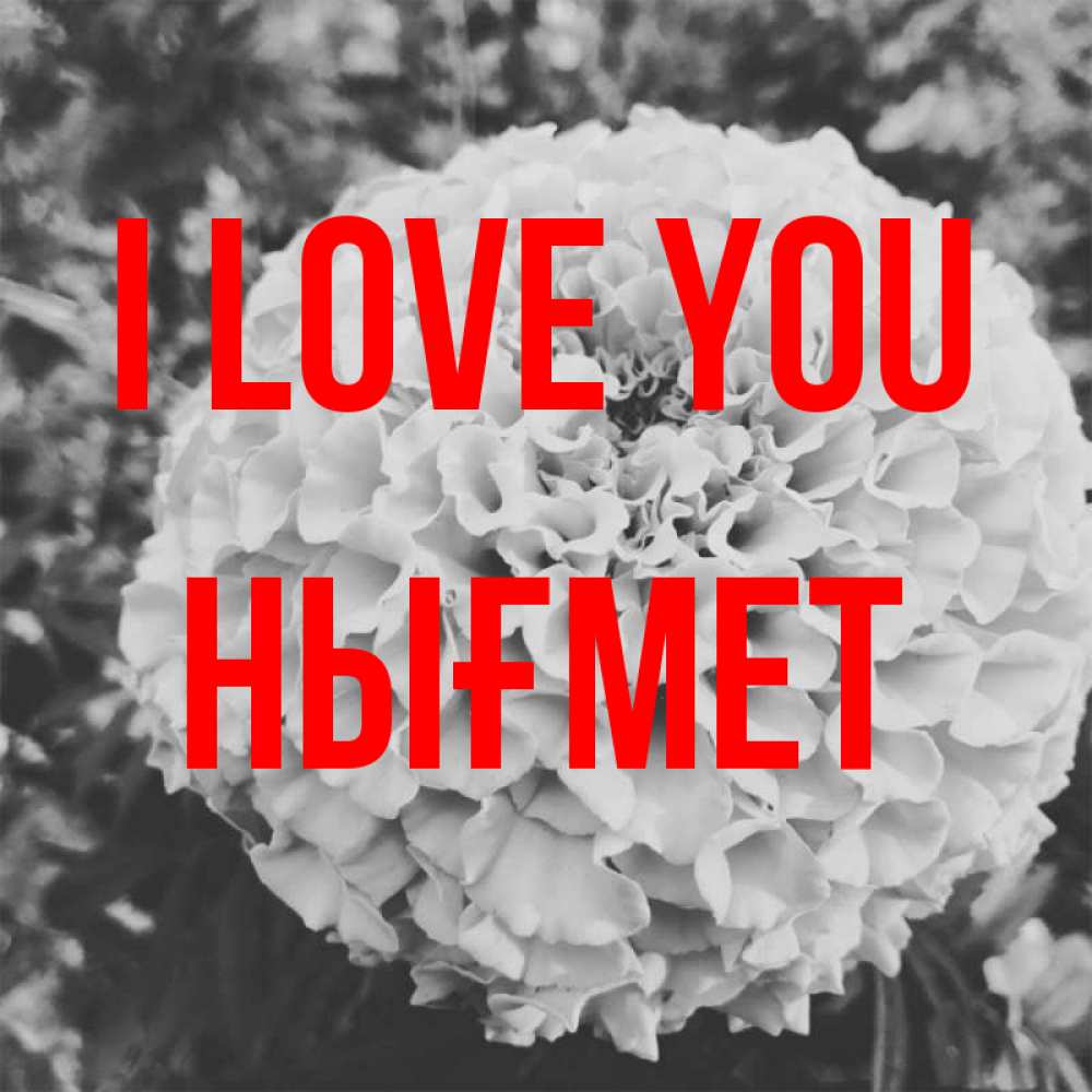 Greetings card с именем, НЫҒМЕТ I love you подпись Greetings with text for free download 