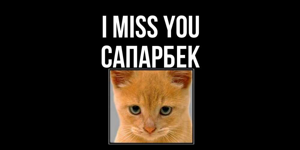 Greetings card с именем, САПАРБЕК I miss you открытки рыжий котенок скучает по тебе Greetings with text for free download 