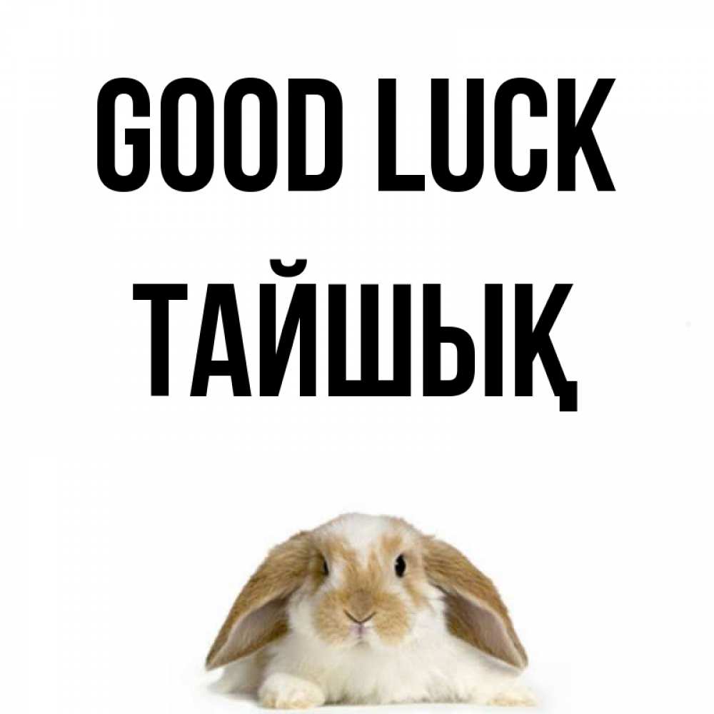 Greetings card с именем, ТАЙШЫҚ Good luck открытки с произвольным текстом который можно вставить в открытку и создать ее самостоятельно бесплатно онлайн Greetings with text for free download 