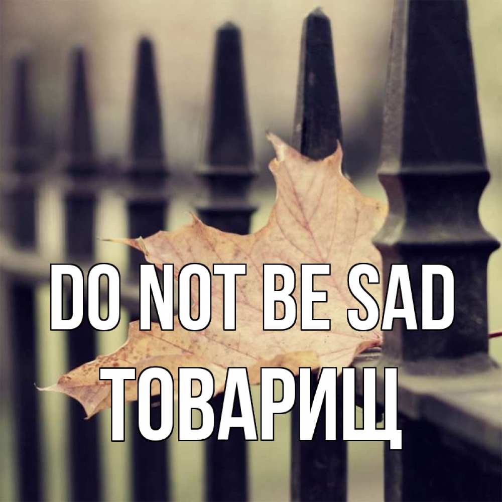 Greetings card с именем, Товарищ Do not be sad лист клена Greetings with text for free download 