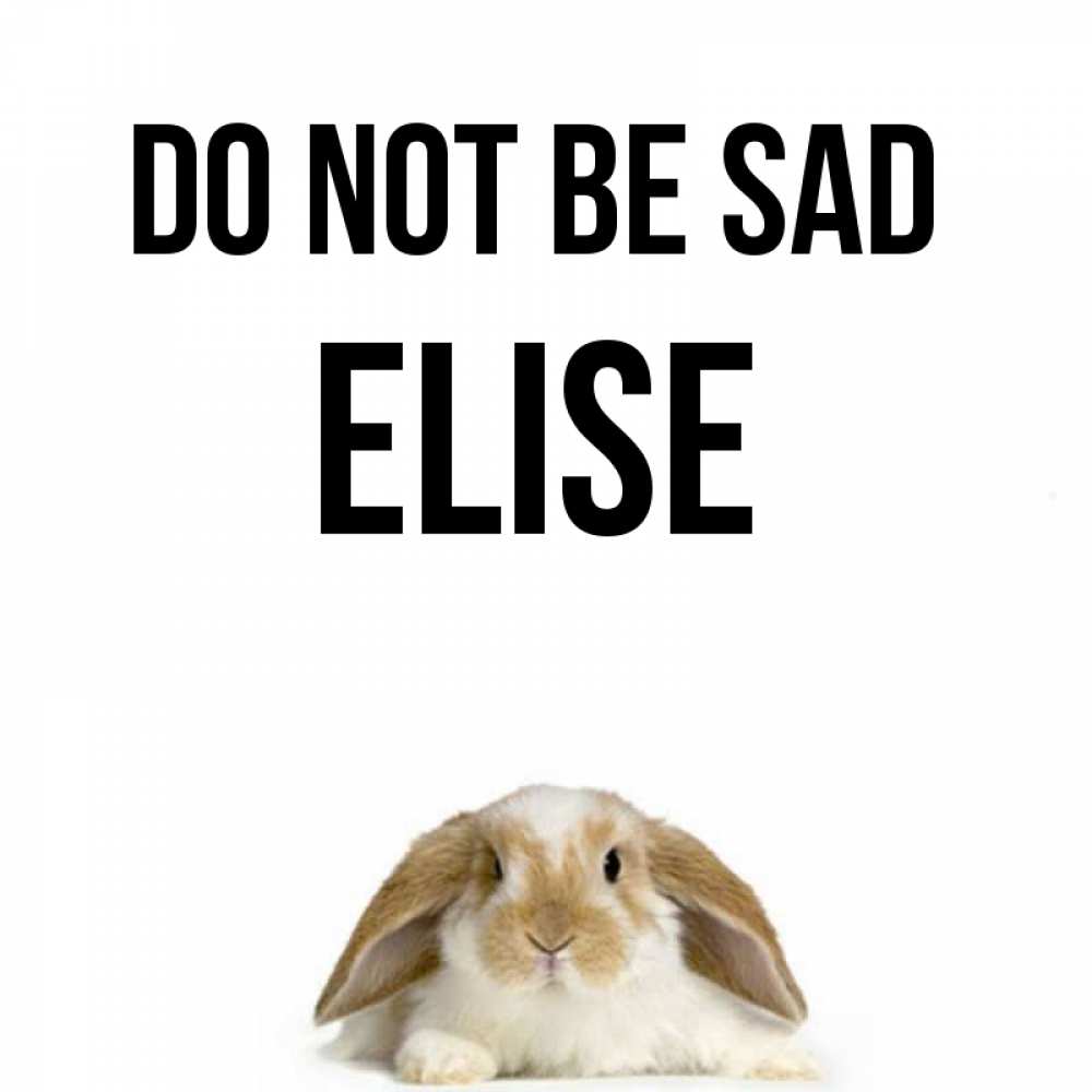 Greetings card с именем, Elise Do not be sad коричнево белый заяц с большими ушками Greetings with text for free download 