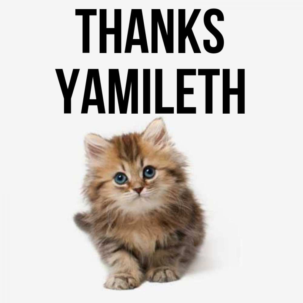 Greetings card с именем, Yamileth Thanks пушистый котик Greetings with text for free download 