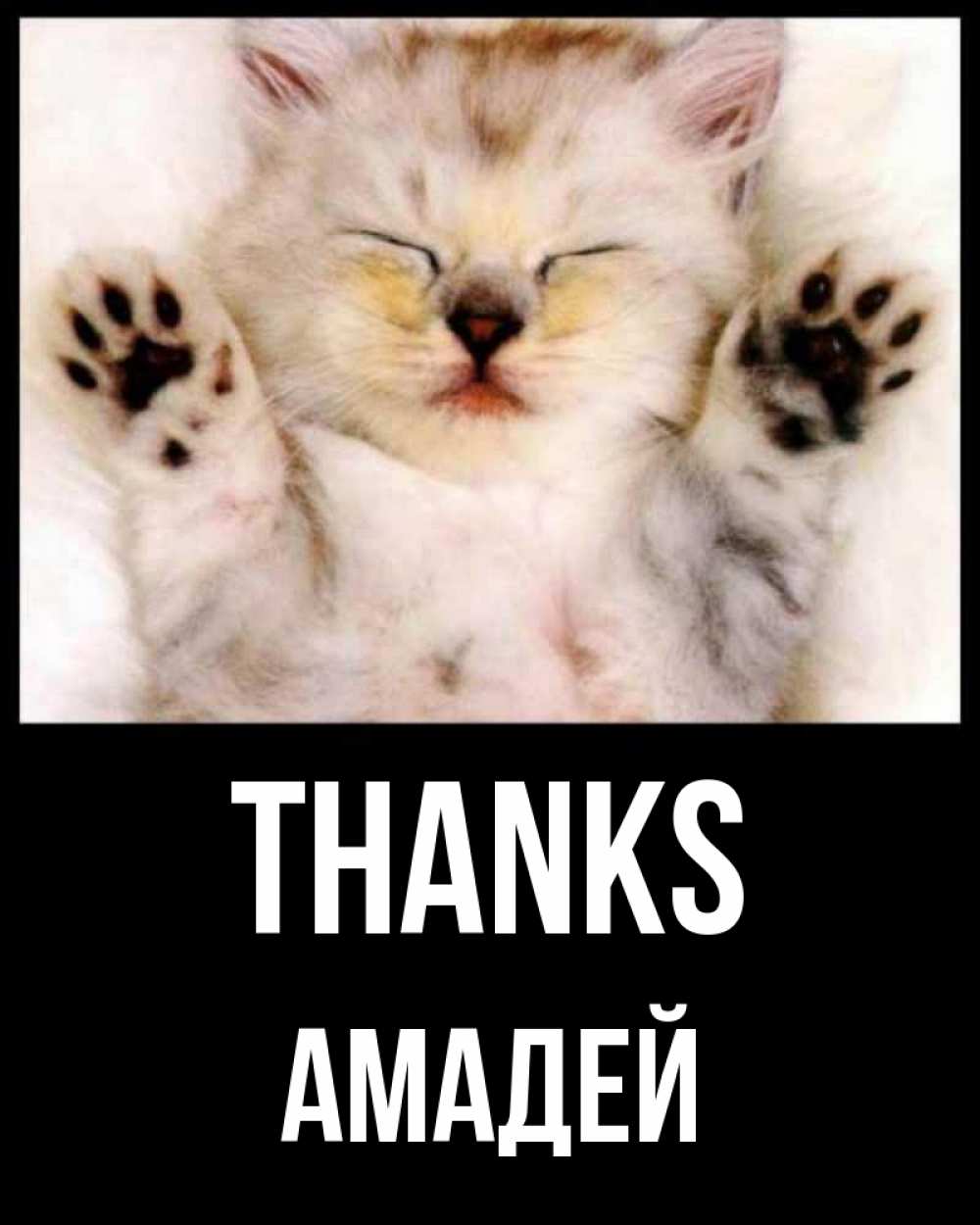 Greetings card с именем, Амадей Thanks маленький котенок Greetings with text for free download 