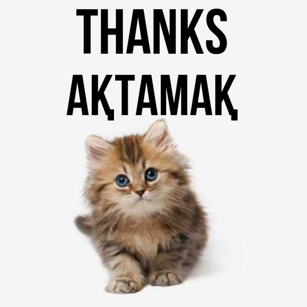 Greetings card с именем, Ақтамақ Thanks пушистый котик Greetings with text for free download 