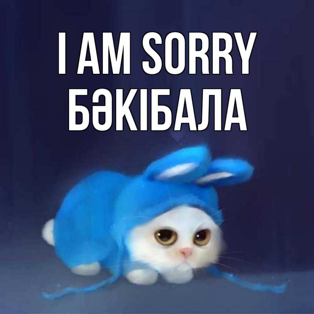 Greetings card с именем, БӘКІБАЛА I am sorry невинный котозай просит прощения Greetings with text for free download 