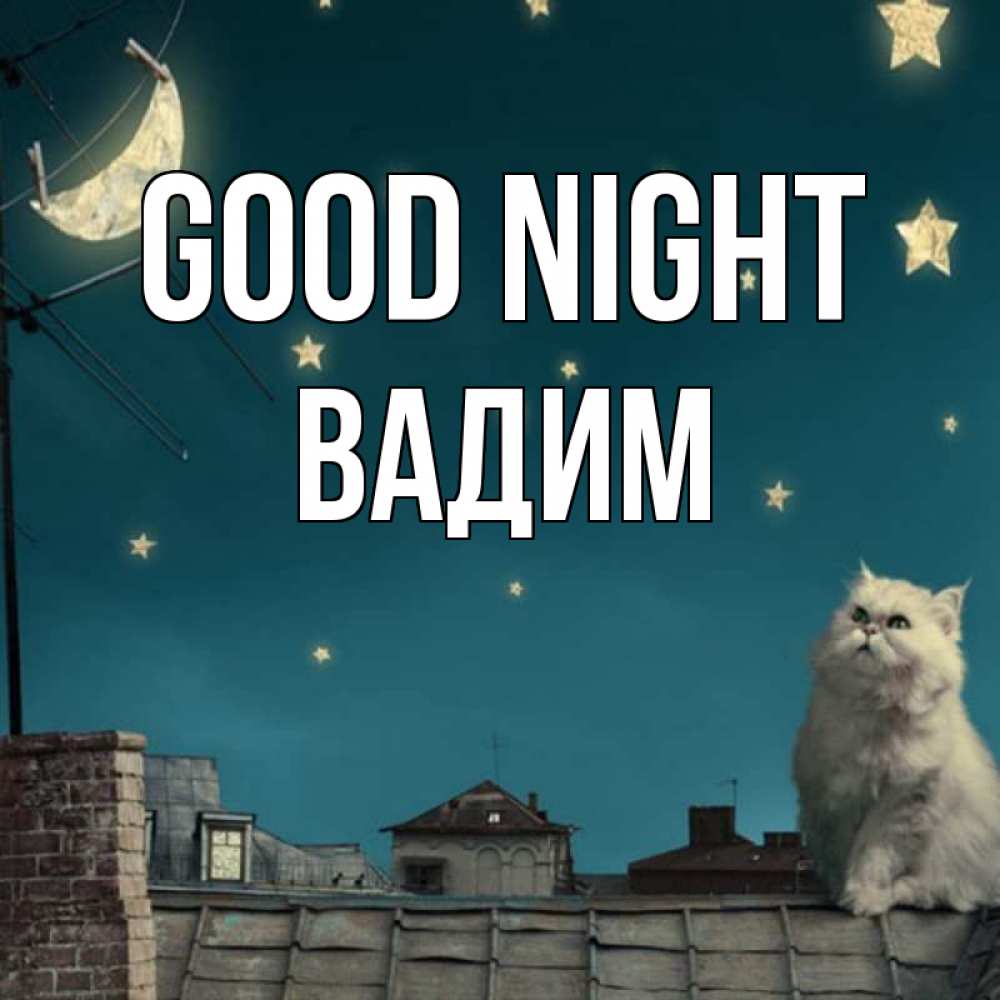 Greetings card с именем, Вадим Good night белый кот сидит на крыше Greetings with text for free download 