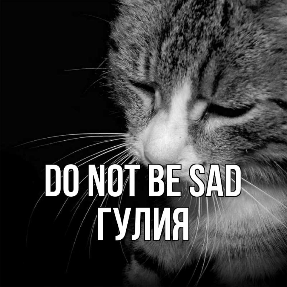 Greetings card с именем, Гулия Do not be sad грустный котик Greetings with text for free download 