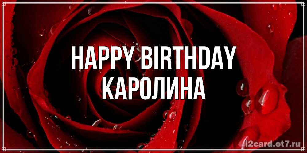 Greetings card с именем, Каролина Happy Birthday крупная бордовая роза Greetings with text for free download 