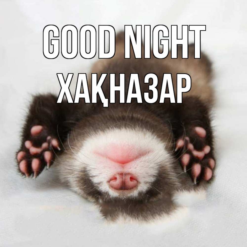 Greetings card с именем, ХАҚНАЗАР Good night зверек Greetings with text for free download 