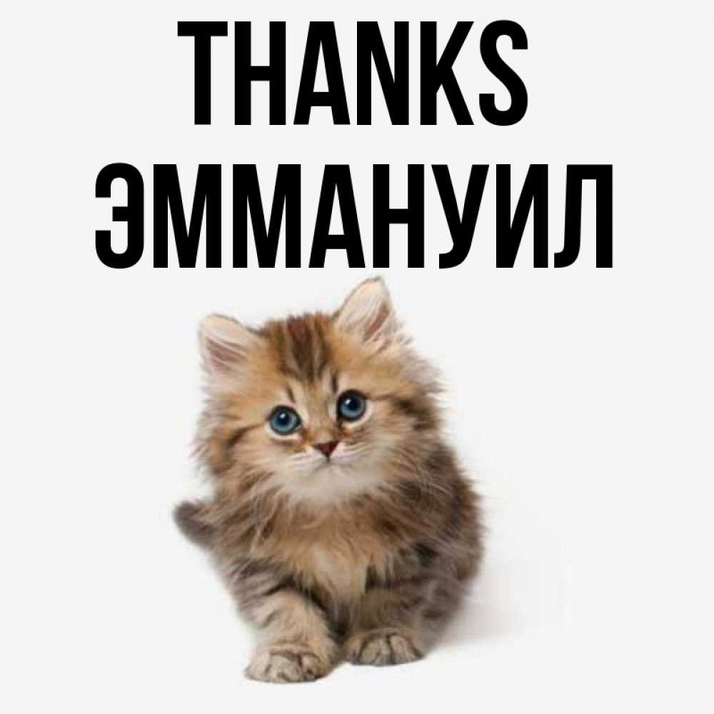 Greetings card с именем, Эммануил Thanks пушистый котик Greetings with text for free download 