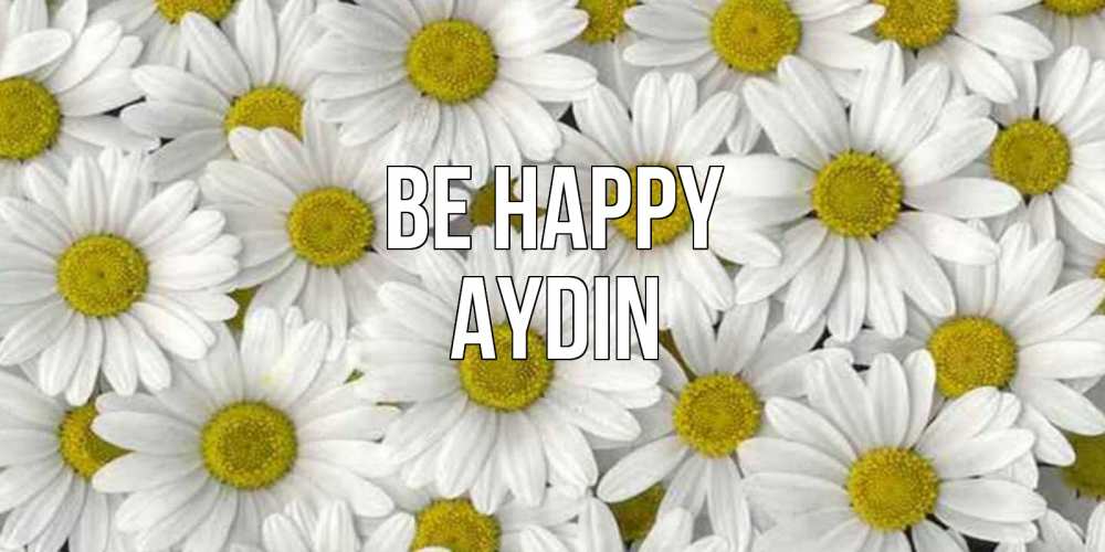 Greetings card с именем, Aydin Be happy поляна ромашек Greetings with text for free download 