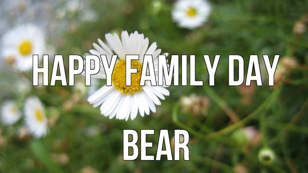 Greetings card с именем, Bear happy family day с днем семьи Greetings with text for free download 
