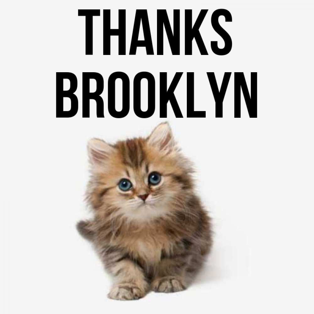 Greetings card с именем, Brooklyn Thanks пушистый котик Greetings with text for free download 
