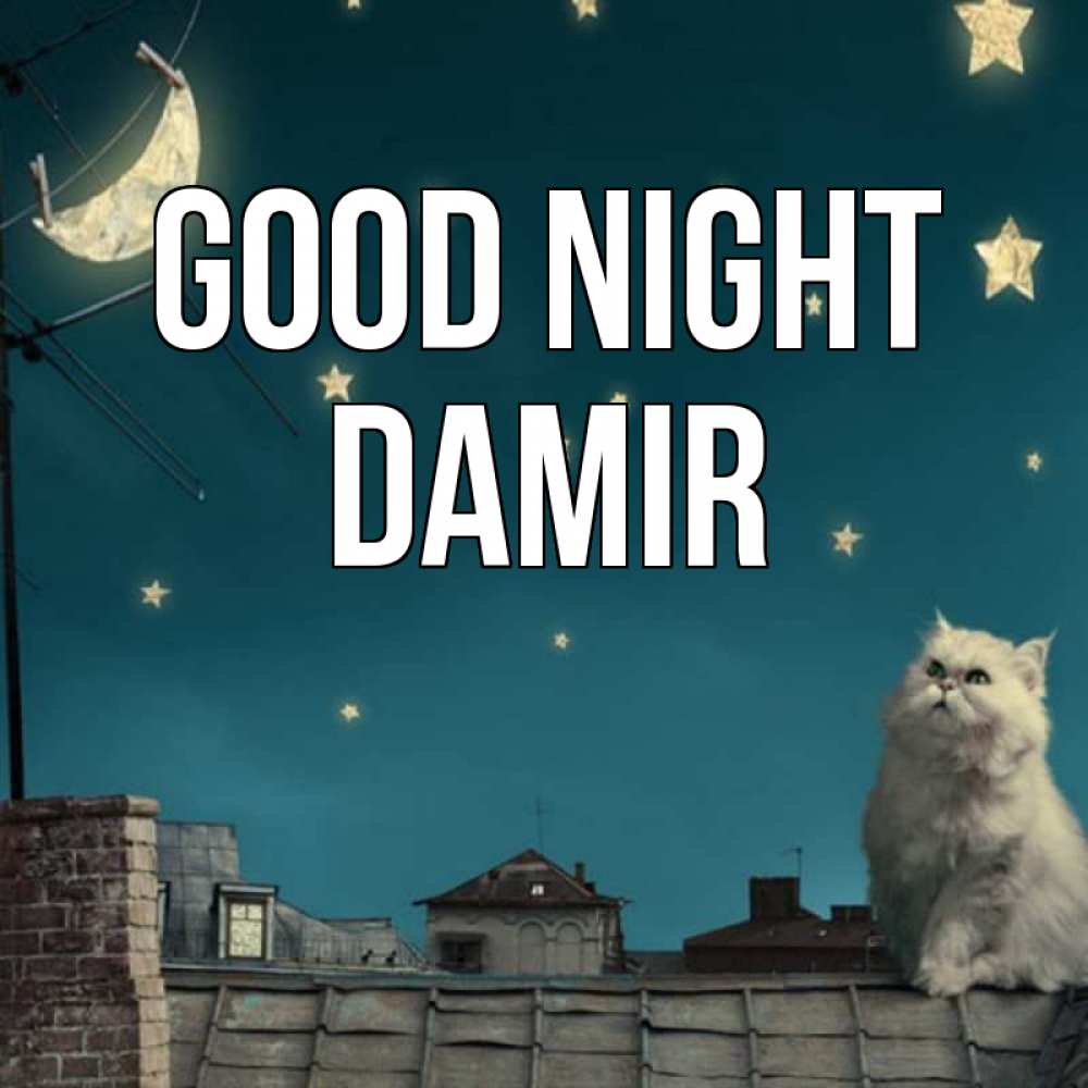 Greetings card с именем, Damir Good night белый кот сидит на крыше Greetings with text for free download 