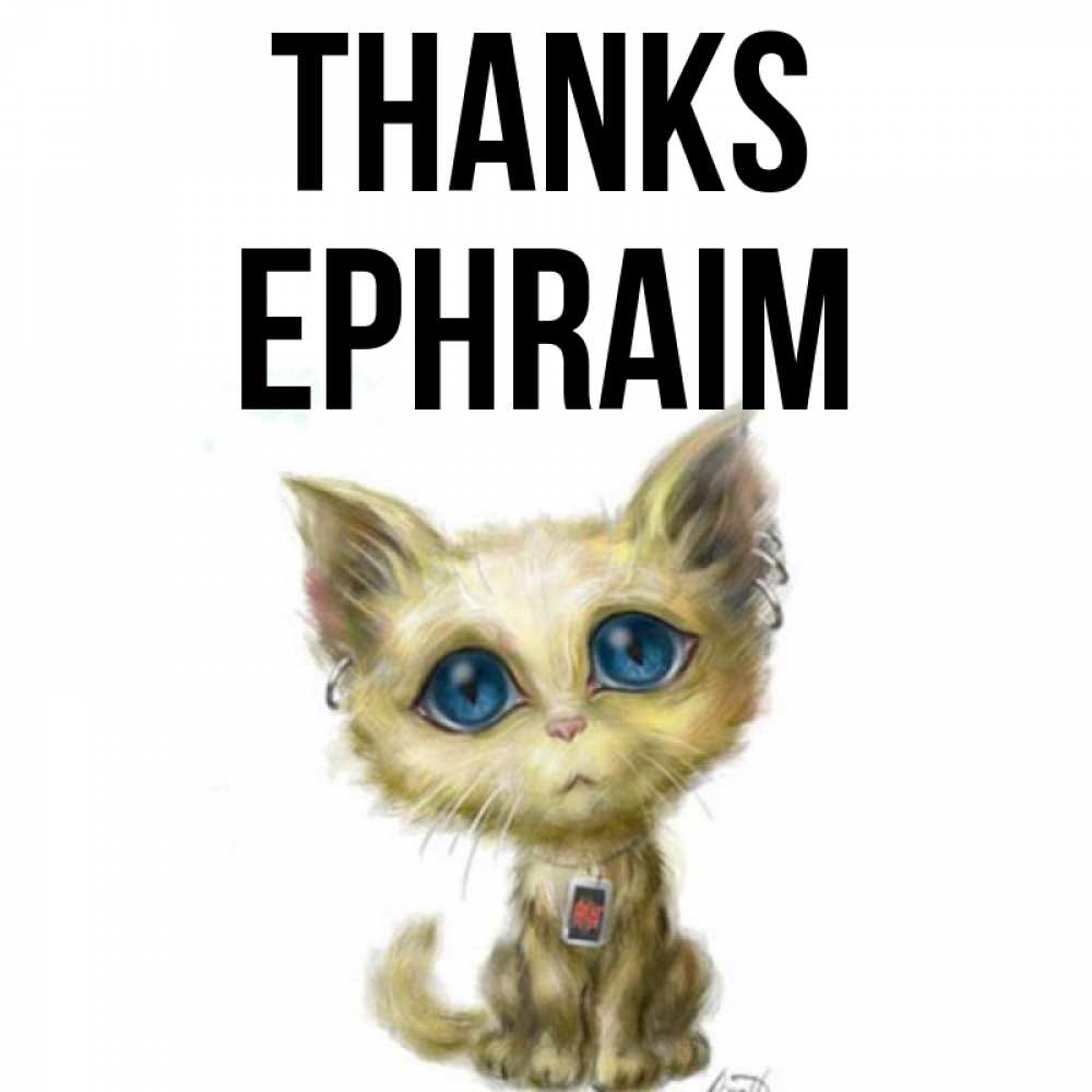 Greetings card с именем, Ephraim Thanks рисованный кот благодарит вас Greetings with text for free download 
